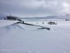316531D5-5AC0-4AA3-A4DE-C03EABBC4C4B.jpeg