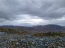 IMG_20210920_164332_2.jpg