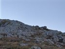 IMG_20210917_085341_3.jpg