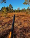CC53C0D9-619E-46EC-88DA-0AB9C0730E90.jpeg